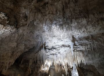 new-zealand/waitomo-caves/landmark/ruakuri-bushwalk