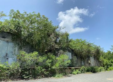 puerto-rico/vieques-island/landmark/bunker-311