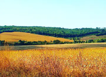 Volhynian-Podolian Upland