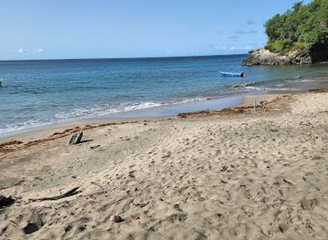 grenada/saint-david/landmark/david-beach-daavee-pronunciation