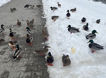 slovakia/turiec/landmark/nabrezie-turca-povodie-vahu
