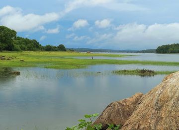 sri-lanka/vavuniya-district/landmark/sk-travels-and-tourism