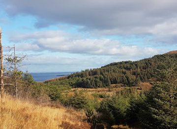ireland/connemara-national-park/landmark/derroura-woods