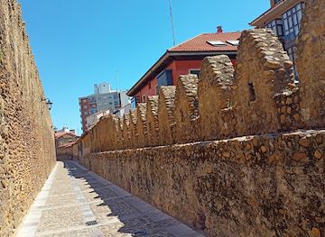 spain/castile-and-leon/landmark/puerta-moneda