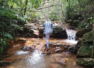 Pico do Roncador