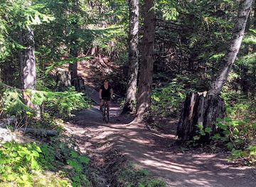 idaho/sandpoint/landmark/greta-s-segway