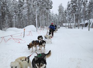 finland/rovaniemi/landmark/lapland-husky-safaris