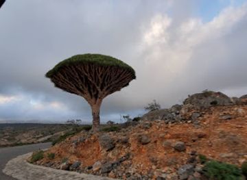 yemen/lahij/landmark/delisha-beach