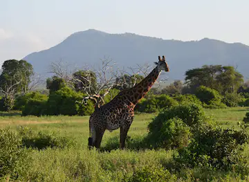 Tsavo East Sala Gate