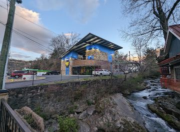 tennessee/gatlinburg/landmark/ripley-s-mountain-coaster