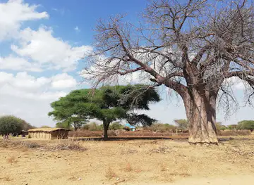 LizB-Birding Safaris