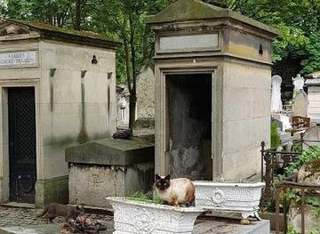 france/ile-de-france/landmark/montmartre-cemetery