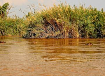 burundi/rusizi-national-park/landmark/rusizi-delta-natural-reserve-entrance