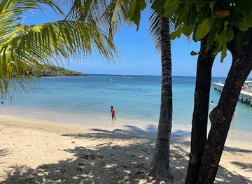 honduras/bay-islands/landmark/aj-s-monkeys-and-sloths