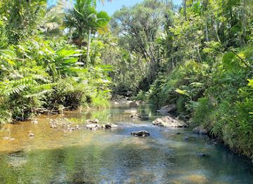 puerto-rico/caribbean-national-forest/landmark/bosque-estatal-de-carite