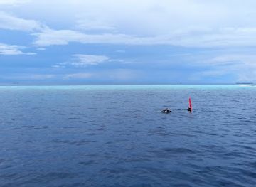 maldives/thaa-atoll/landmark/thakathga-reef