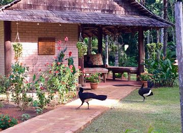 guyana/upper-takutu-upper-essequibo/landmark/atta-rainforest-lodge