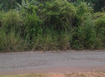 jamaica/middlesex-county/landmark/mocho-mountains