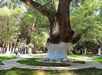 kazakhstan/assy-plateau/landmark/auliye-agash-700-letneye-derevo