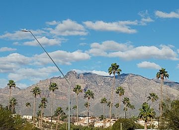 arizona/tucson-mountain-park/landmark/children-s-memorial-park