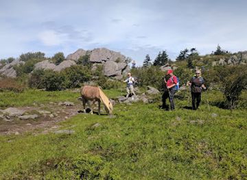 virginia/grayson-highlands-state-park/landmark/appalachian-trail-grayson-highlands