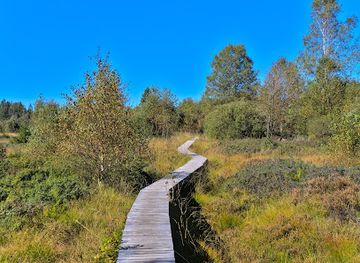belgium/hautes-fagnes/landmark/fagne-du-setay