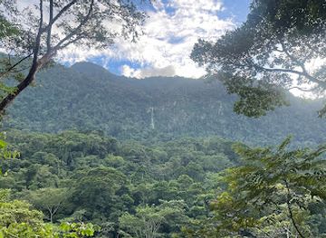 honduras/pico-bonito-national-park/landmark/cascada-el-bejuco