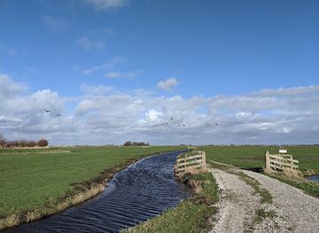 netherlands/kennemerland/landmark/johans-vogelkijkhut-hempolder