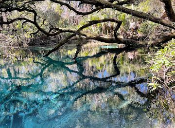 florida/juniper-springs-recreation-area/landmark/florida-trail-juniper-springs-recreation-area-trailhead