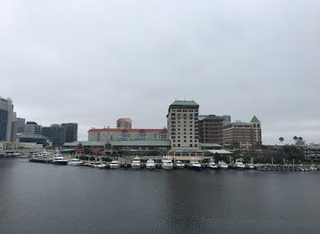 florida/tampa/landmark/tampa-fl-downtown-west