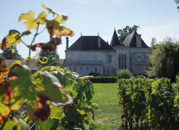 Bordovino Wine Tours