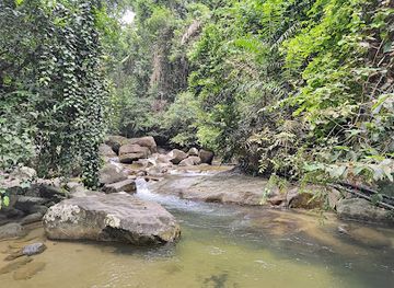 malaysia/taman-negara-national-park/landmark/taman-negara-endau-rompin