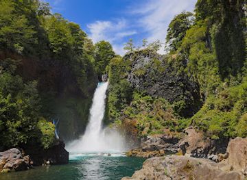 chile/los-rios-region/landmark/huilo-huilo-reserva-biologica