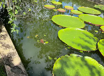 Belize Spicefarm and Botanical Gardens