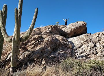 arizona/saguaro-national-park/landmark/javelina-rocks