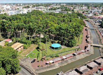 suriname/brokopondo/landmark/palmtree-garden