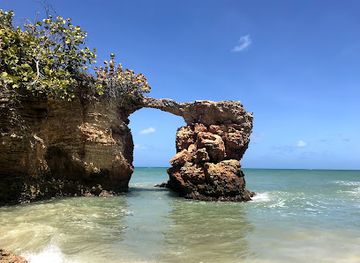 puerto-rico/carolina/landmark/spotin-tours