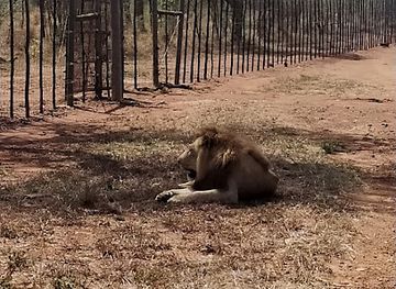 eswatini/hlane-royal-national-park/landmark/hlane-national-park-activities-center