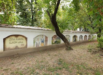 romania/craiova/landmark/zidul-europa