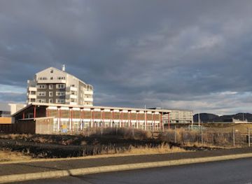 iceland/grindavik/landmark/hja-hollu