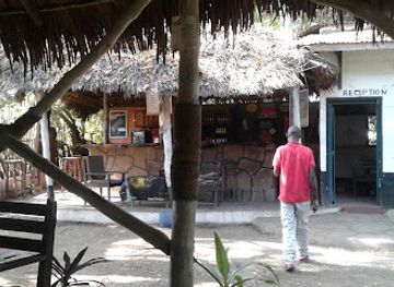 kenya/malindi/landmark/falconry-of-kenya-ltd