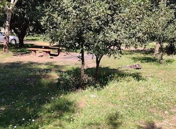 turkiye/kusadasi/guzelcamli/landmark/guzelcamli-mesire-alani