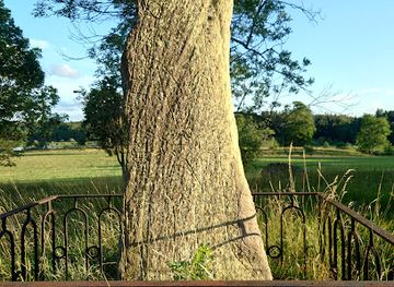 sweden/sodermanland/landmark/sodermanlands-rune-inscription-62