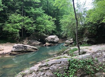 alabama/shoals/landmark/sipsey-river-picnic-area