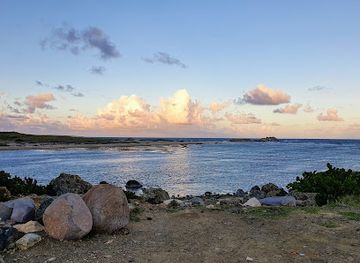 sint-maarten/point-blanche/landmark/parotte-ville-bird-park