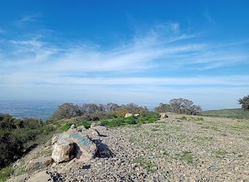 algeria/saoura-valley/landmark/chrea-national-park