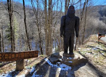 north-carolina/great-smoky-mountains/landmark/bigfoot-statue