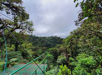 costa-rica/monteverde-cloud-forest/landmark/treetopia-park