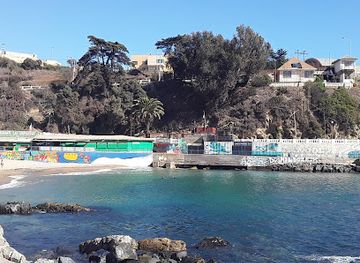 chile/valparaiso/landmark/playa-las-torpederas