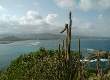saint-lucia/micoud-quarter/landmark/maria-islands-nature-reserve